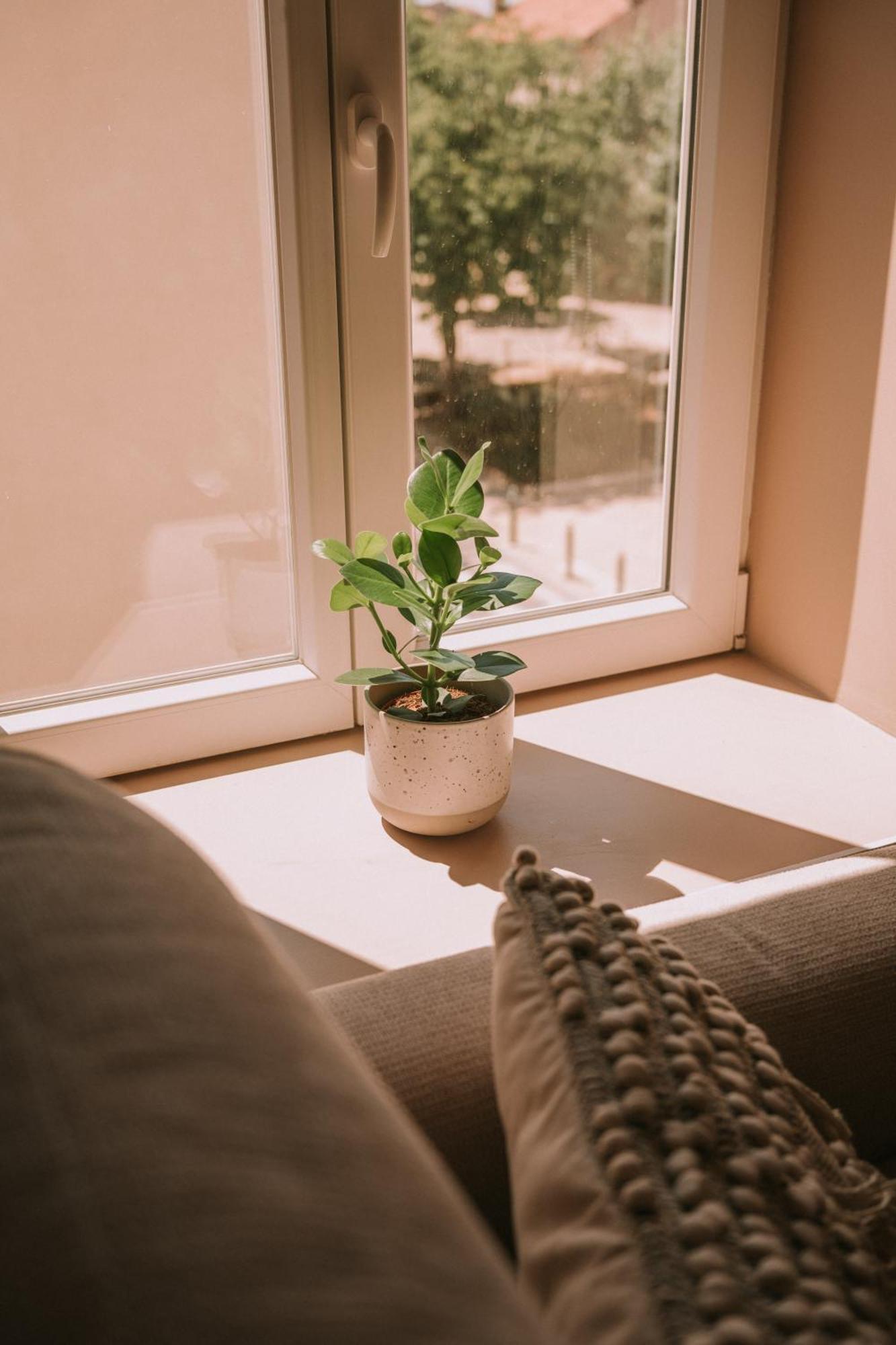 דירות רוקפור-לה-בדול Quietude-Loft Neuf-Clim & Parking מראה חיצוני תמונה